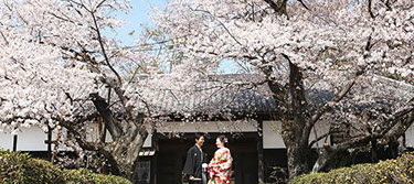 枯山水の飛び石を手を繋いで歩く新郎新婦